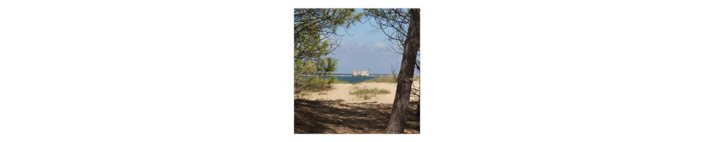 île d'Oléron